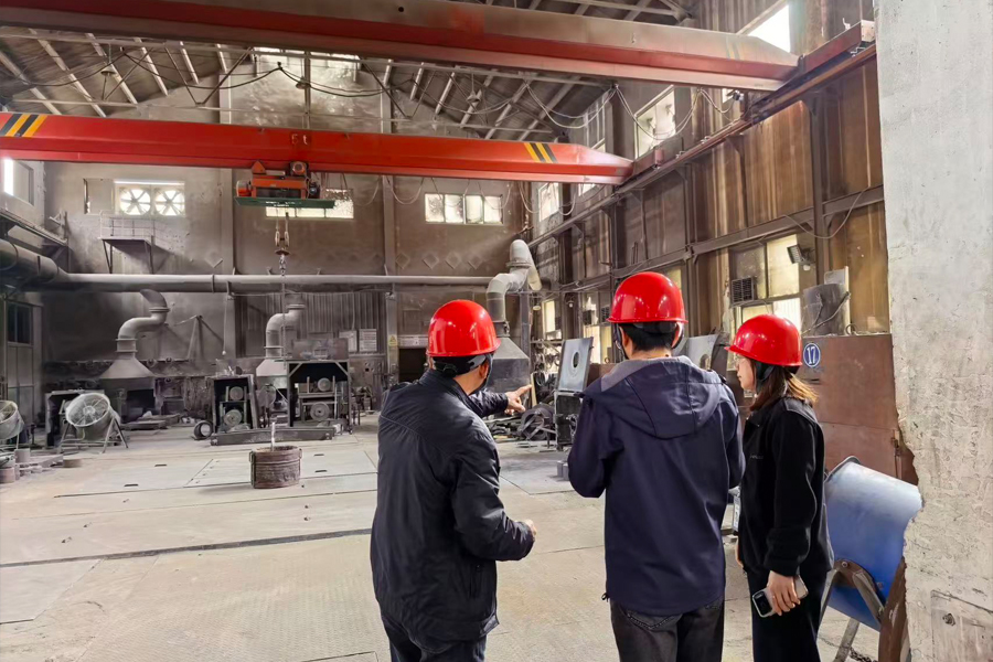 Tocree Machinery - De-site Audit by Metallurgy Client